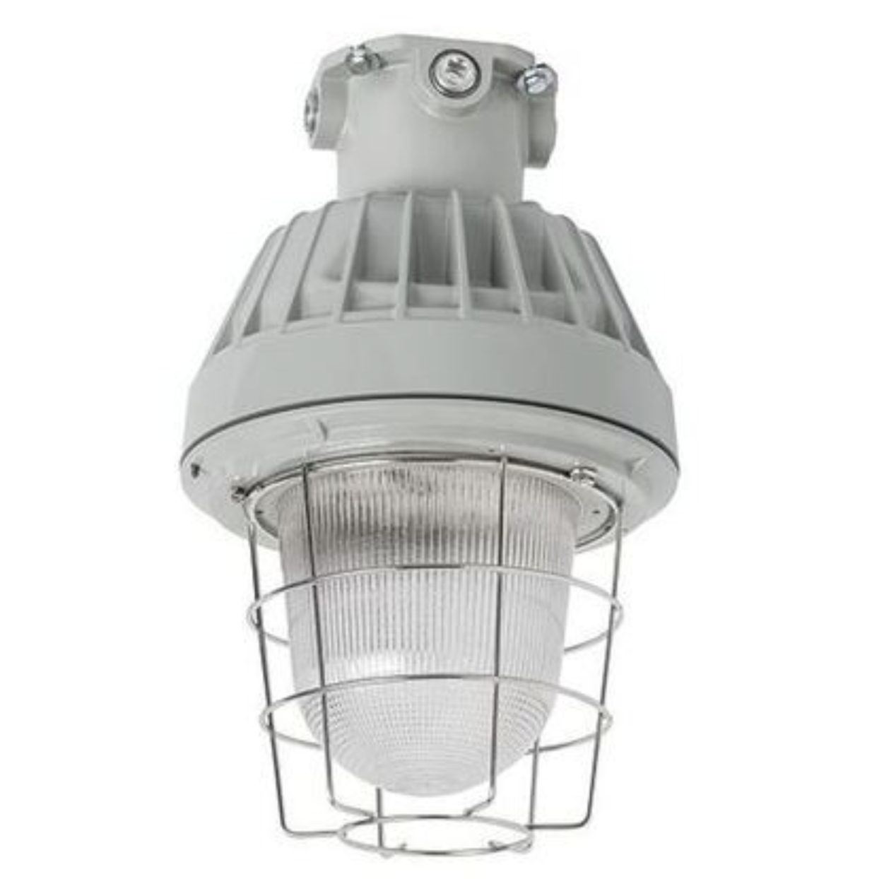 Rig-A-Lite Explosion Proof LED- Architectural Light